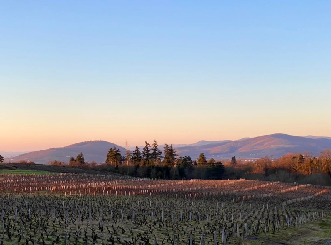 BEAUJOLAIS: Humble, Joyful, yet Serious!