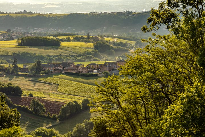 BEAUJOLAIS-VILLAGES: I am not a Number, I am a Real Wine!