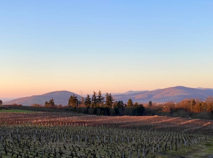 BEAUJOLAIS: Humble, Joyful, yet Serious!